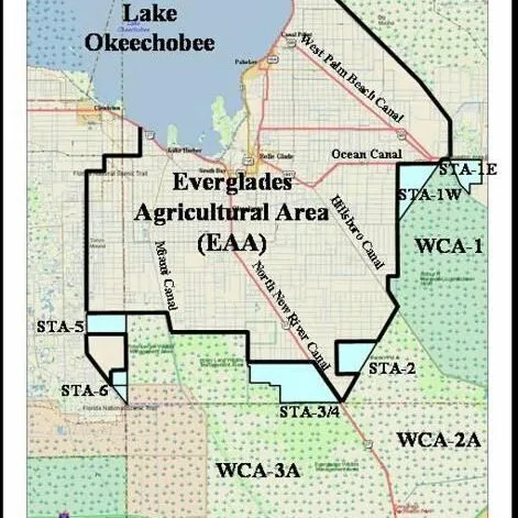 thumbnail for publication: Best Management Practices in the Everglades Agricultural Area: Soil Testing